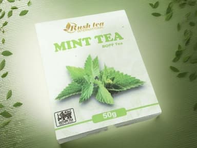 Mint Tea view 1